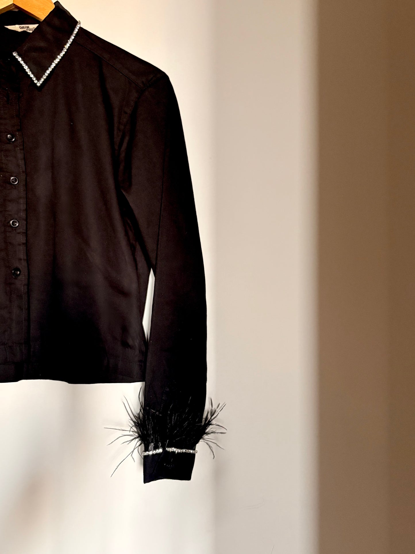 Rhine feather embellish handcrafted crop shirt